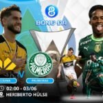 Soi kèo Criciuma vs Palmeiras 02h00 ngày 03/06