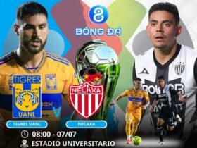 Soi kèo Tigres UANL vs Necaxa 08h00 ngày 07/07