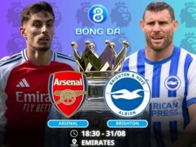 Soi kèo Arsenal vs Brighton 18h30 ngày 31/08