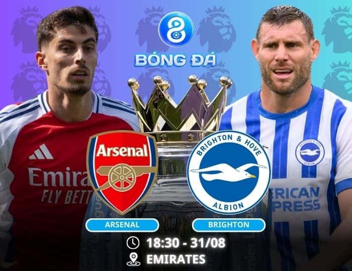 Soi kèo Arsenal vs Brighton 18h30 ngày 31/08