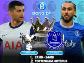 Soi kèo Tottenham vs Everton 21h00 ngày 24/08