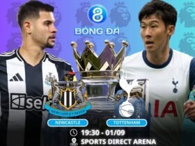 Soi kèo Newcastle vs Tottenham 19h30 ngày 01/09