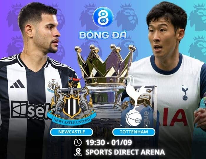 Soi kèo Newcastle vs Tottenham 19h30 ngày 01/09