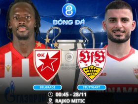 Nhận định, soi kèo Belgrade vs Stuttgart 0h45 ngày 28/11