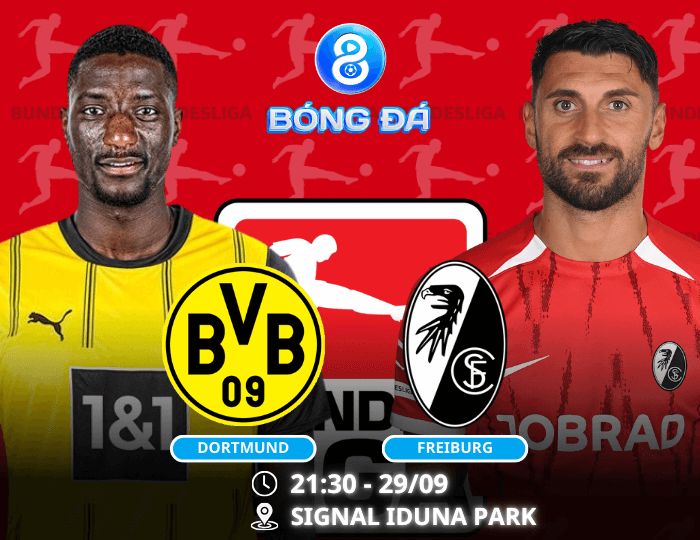 Nhận định, soi kèo Dortmund vs Freiburg 21h30 ngày 23/11