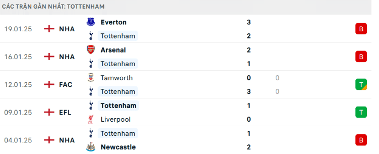 Thành tích đối đầu Hoffenheim vs Tottenham