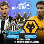 Nhận định, soi kèo Newcastle vs Wolves 02h30 ngày 16/01