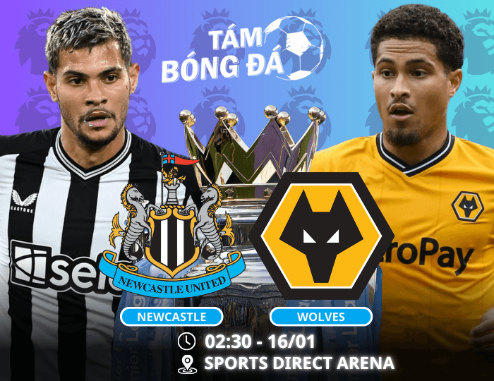 Nhận định, soi kèo Newcastle vs Wolves 02h30 ngày 16/01